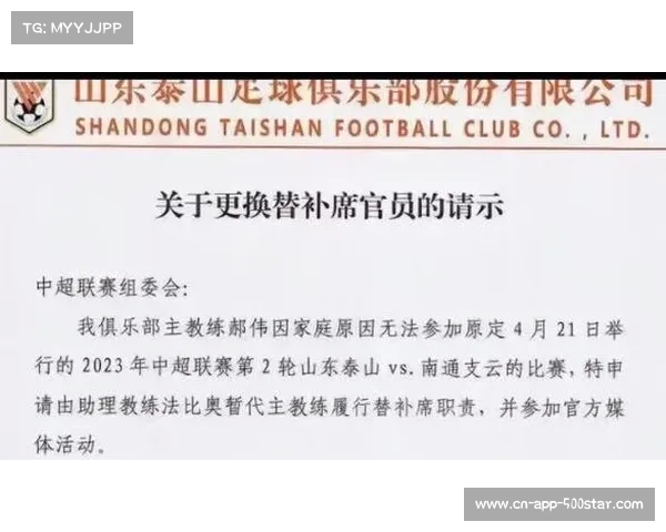中超门票价格分析与趋势预测 观赛成本的变化与球迷体验提升 中超门票价格分析与趋势预测 观赛成本的变化与球迷体验提升